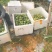 钦蜜9号百香果《精品推荐》广西百香果/对接市场电商加工厂