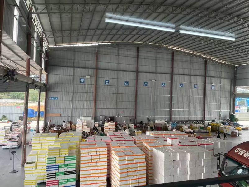 黄金百香果/广西百香果/品质好对接全国市场电商加工厂欢迎