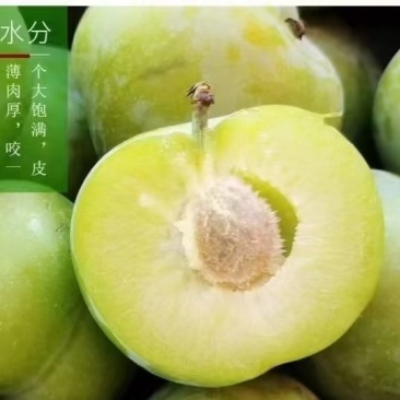 贵州四月李脱骨李电商抖音淘宝快手多多全网一件代发供应链