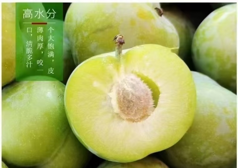 贵州四月李脱骨李电商抖音淘宝快手多多全网一件代发供应链