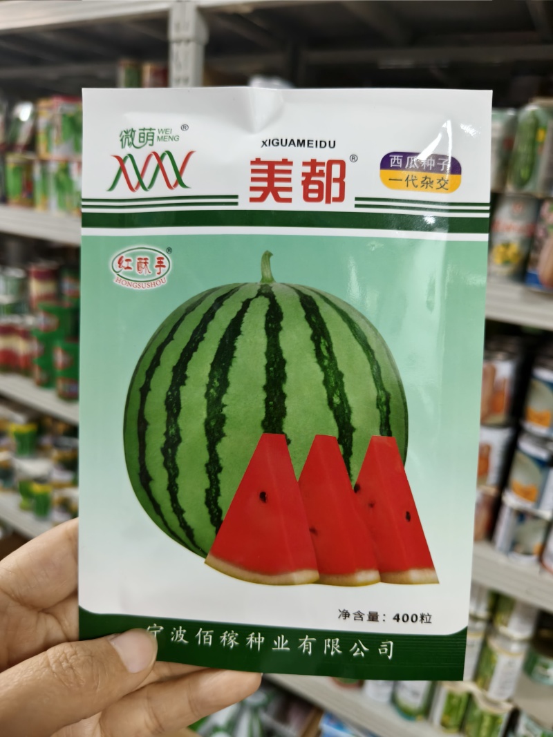 宁波微萌美都西瓜种子正宗桃红瓤美都西瓜种籽中熟甜而多汁