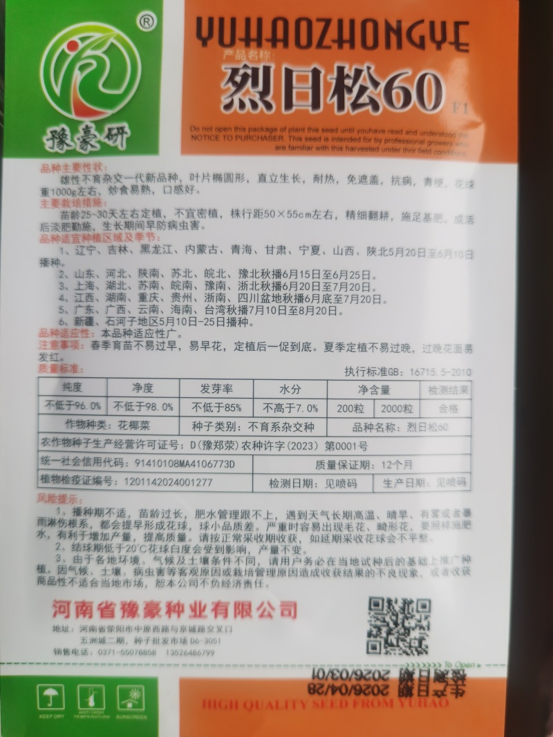 免盖松花菜烈日松60明珠65松花菜种子