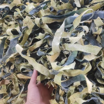 冬瓜皮无硫烤干刚刚上市量大从优欢迎来电咨询