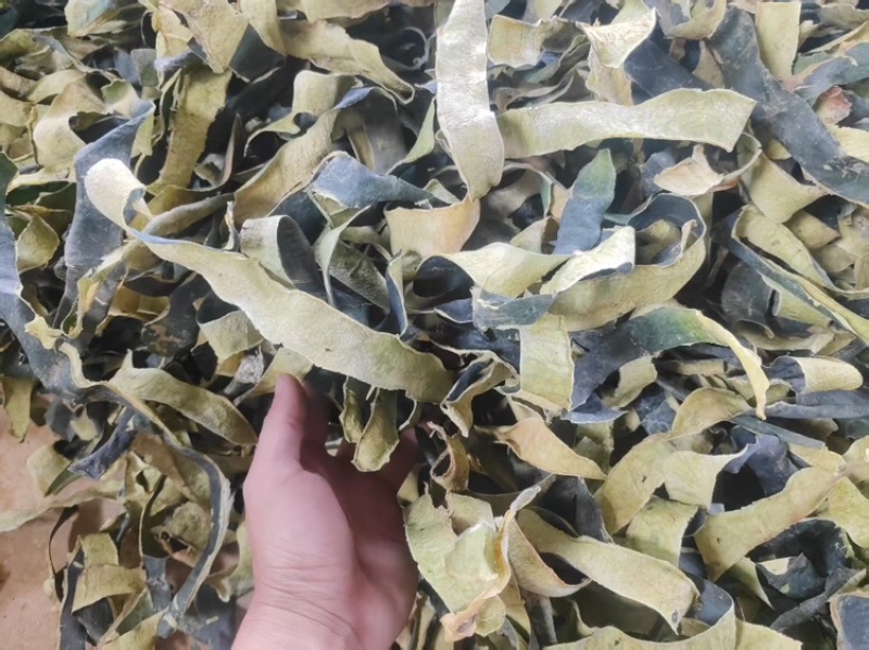 冬瓜皮无硫烤干刚刚上市量大从优欢迎来电咨询