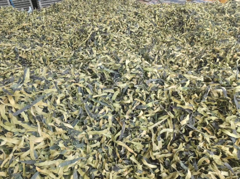 冬瓜皮无硫烤干刚刚上市量大从优欢迎来电咨询