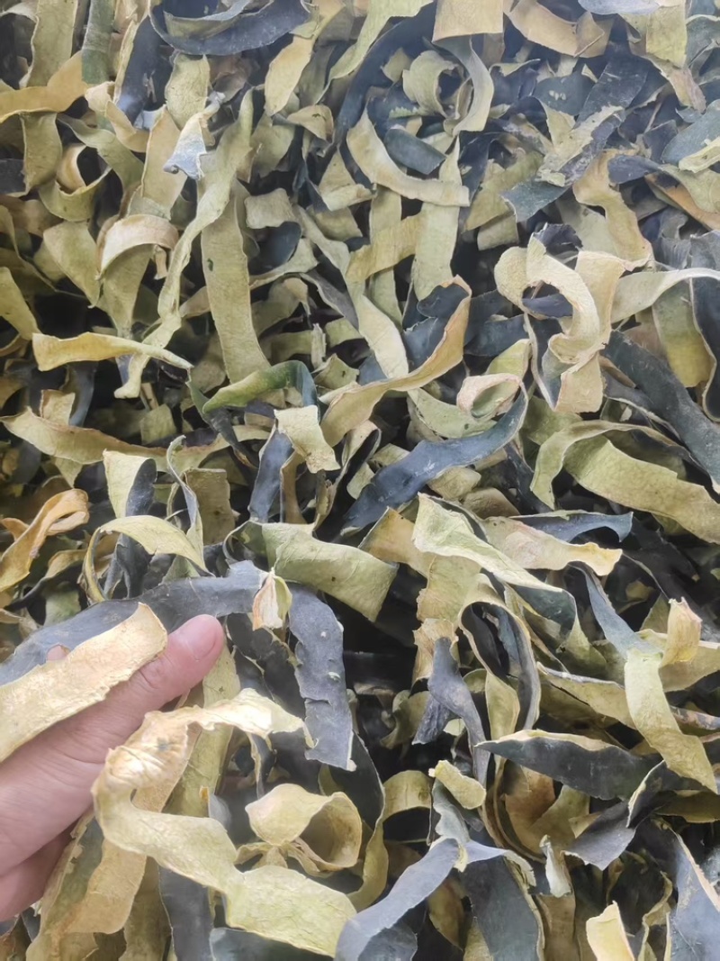 冬瓜皮无硫烤干刚刚上市量大从优欢迎来电咨询