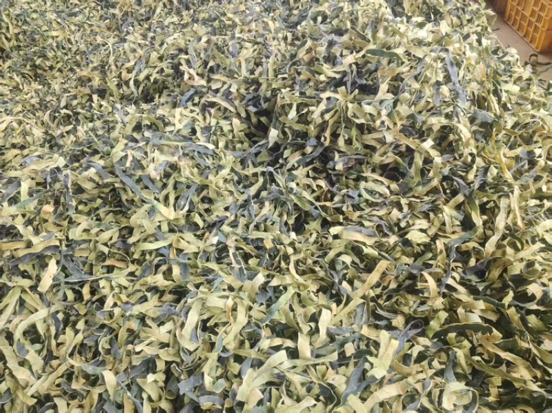 冬瓜皮无硫烤干刚刚上市量大从优欢迎来电咨询