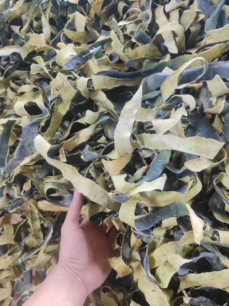 冬瓜皮无硫烤干刚刚上市量大从优欢迎来电咨询