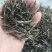 高山云雾茶