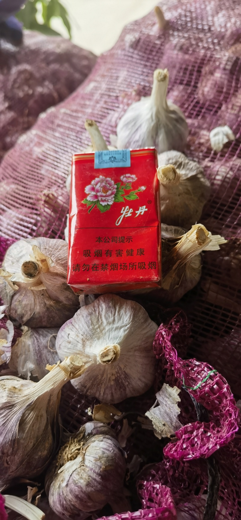 云南大理红蒜干货大量有货份证质量欢迎老板到现场看货