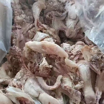 羊脸