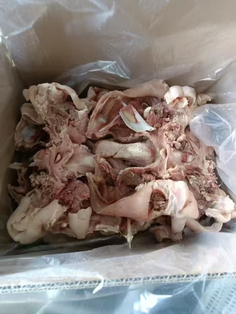 羊脸