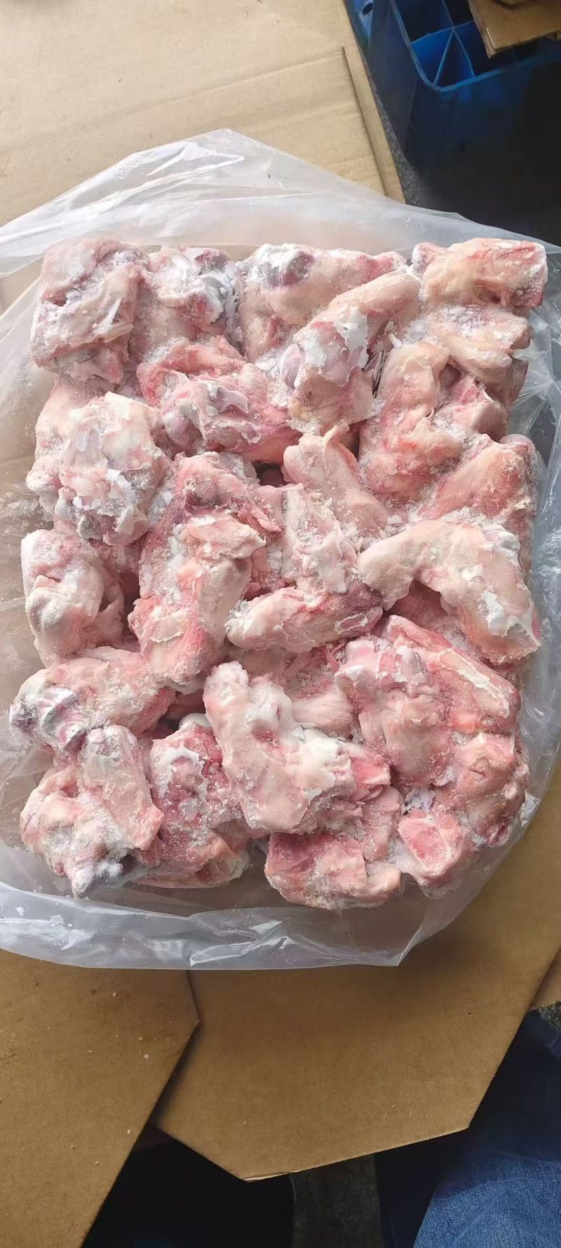 猪拐骨