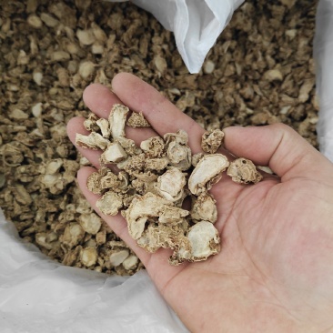 沙姜山奈沙姜片香料调味料