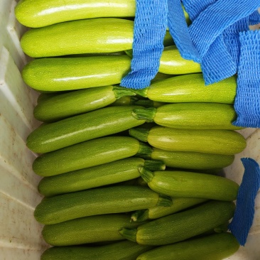 精品绿皮西葫芦人工筛选装框打包质量保证价格合理欢迎进店