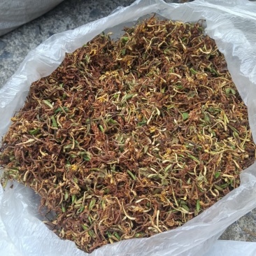 刚产新野生山银花
