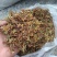 刚产新野生山银花