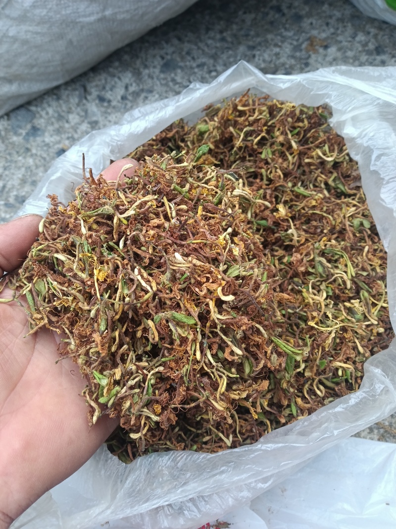刚产新野生山银花
