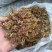 刚产新野生山银花