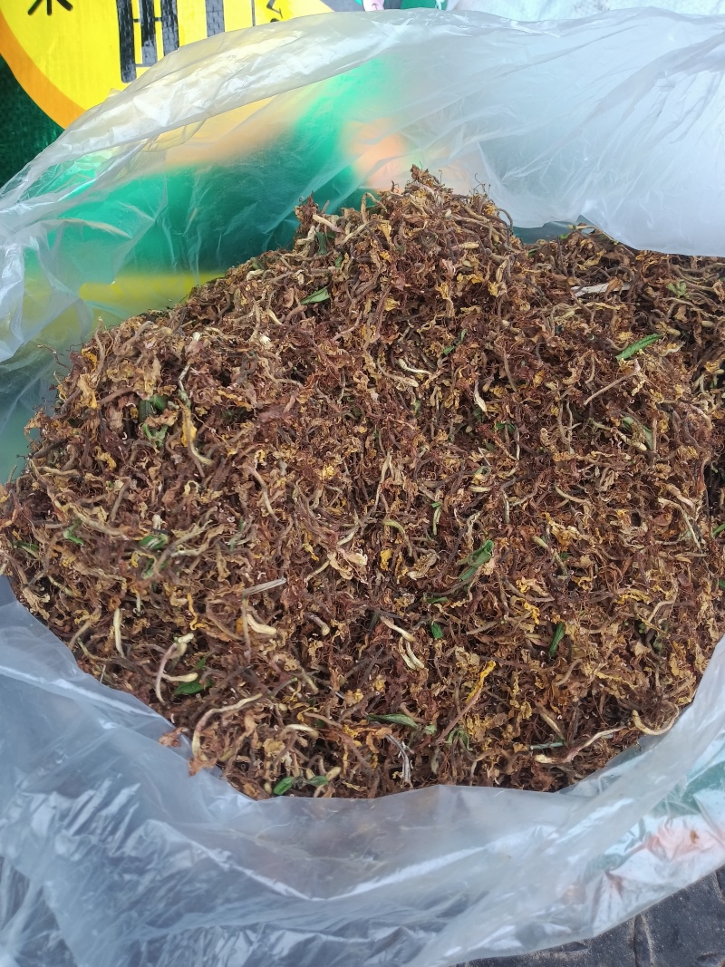 刚产新野生山银花