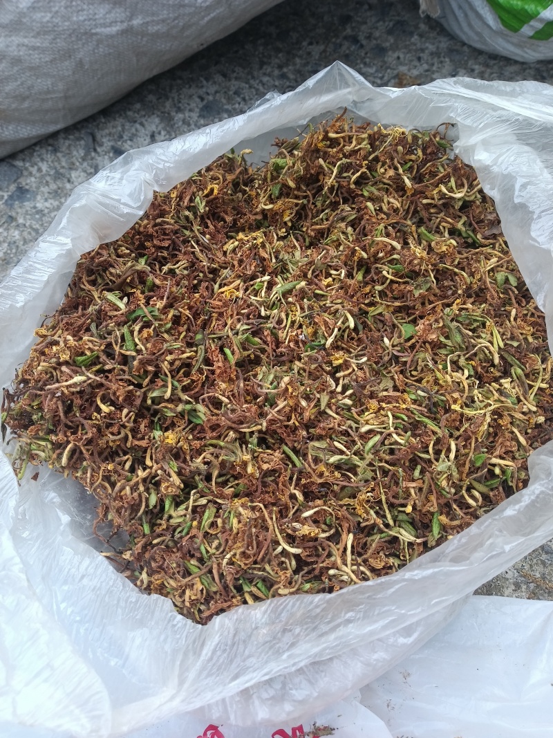 刚产新野生山银花