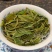 2026管阳荒野牡丹王干茶毫香蜜香内质丰富