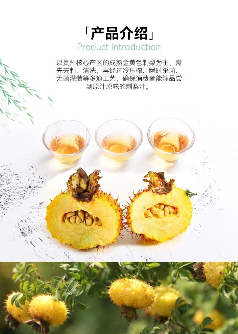 贵州刺梨口服液