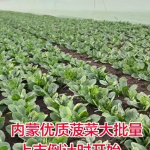 内蒙古乌兰察布兴和县20号上市