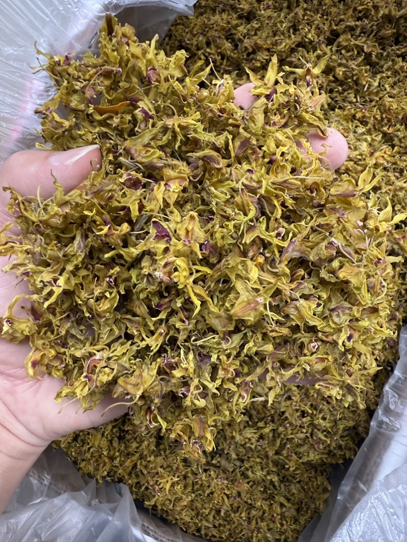 铁皮石斛花，仿野生