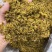 铁皮石斛花，仿野生