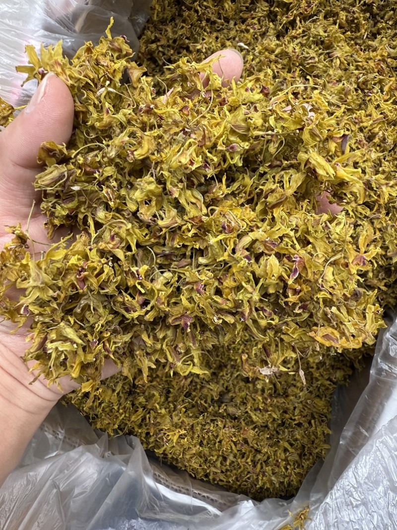 铁皮石斛花，仿野生