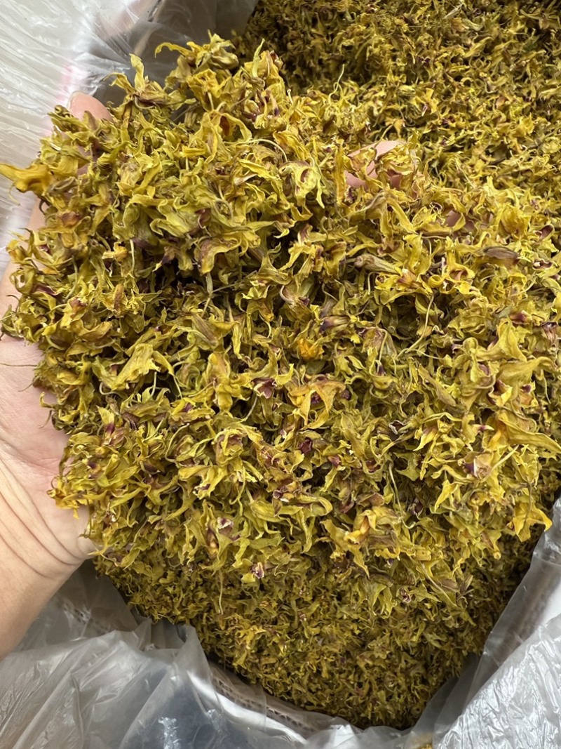 铁皮石斛花，仿野生