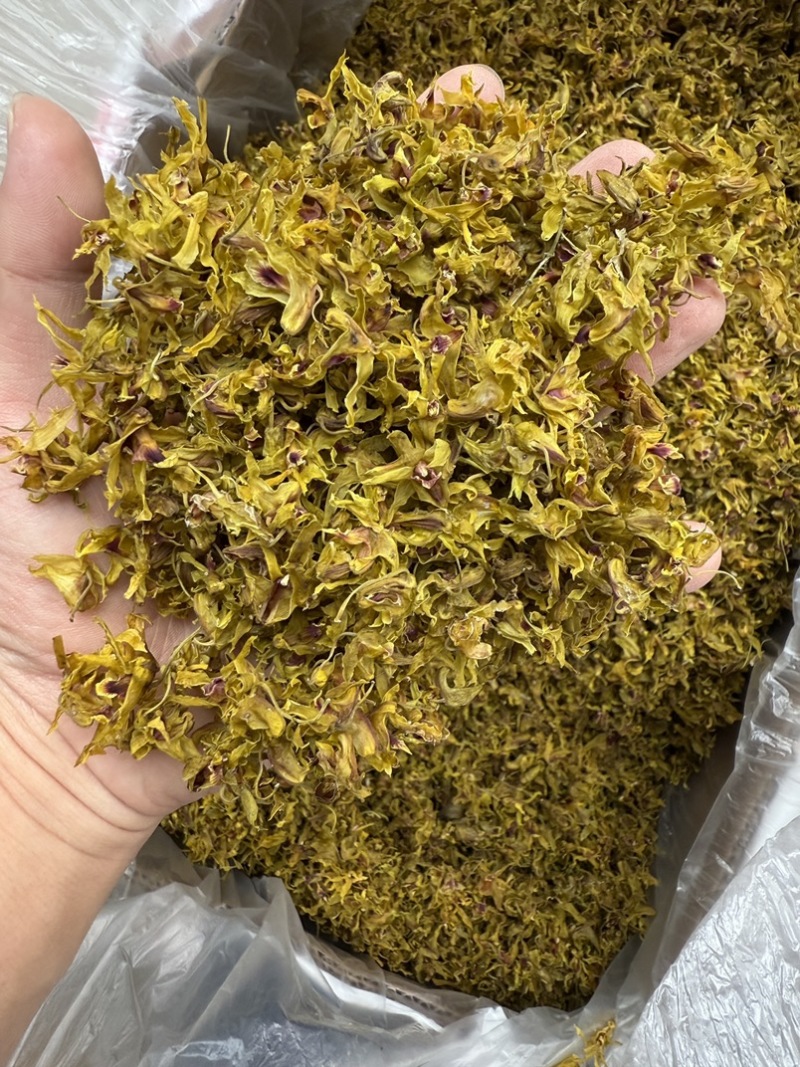 铁皮石斛花，仿野生