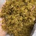铁皮石斛花，仿野生