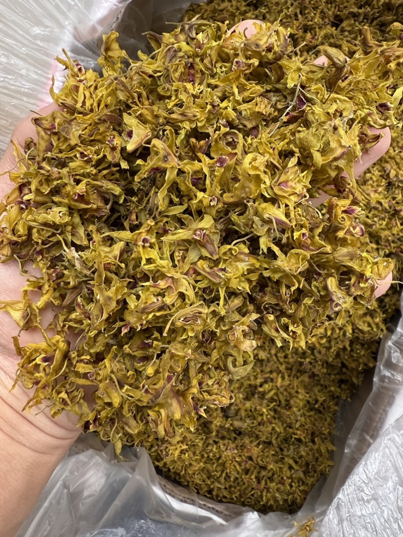 铁皮石斛花，仿野生