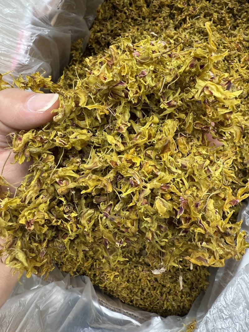 铁皮石斛花，仿野生