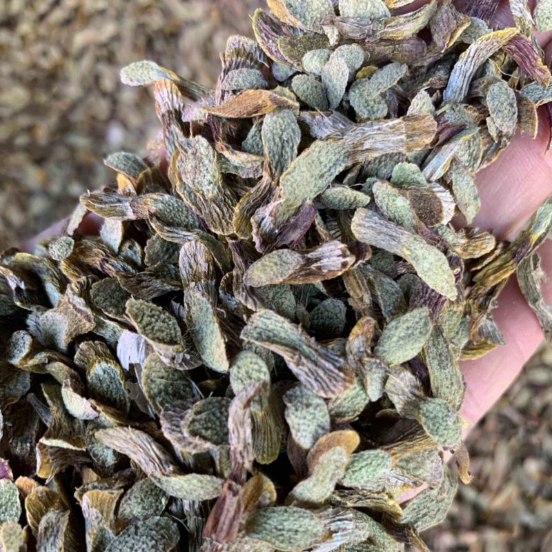铁皮石斛切片，泡水成紫色汤