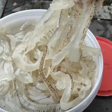 海蜇丝批发