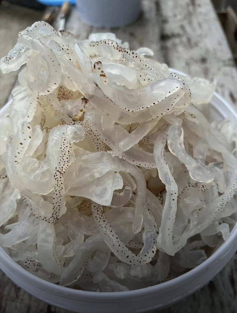 海蜇丝批发