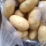 黄心土豆