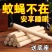 艾草香薰家用纯天然驱蚊艾棒室内消毒杀菌艾条驱蚊艾条蚊驱蚊