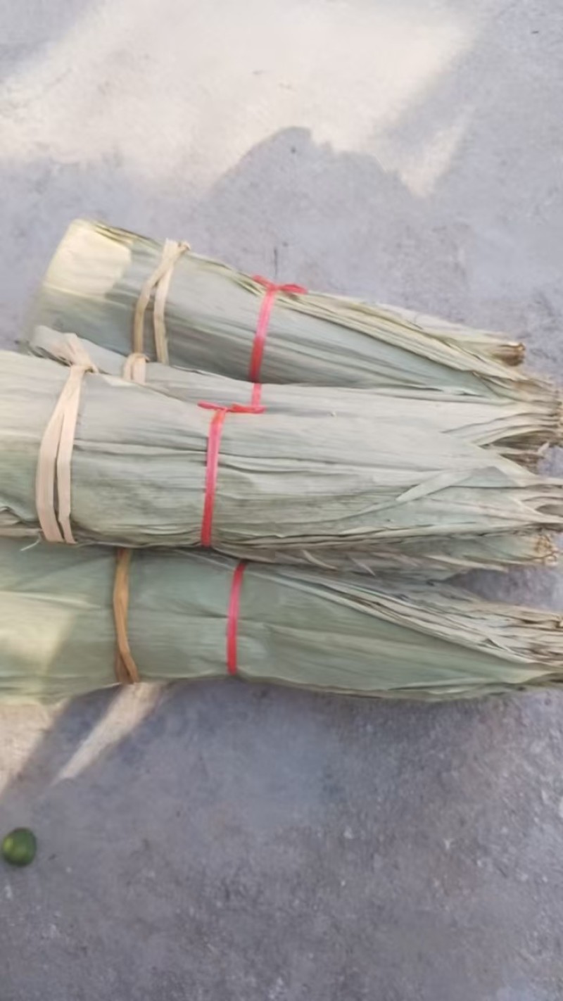 野生粽叶产地直发