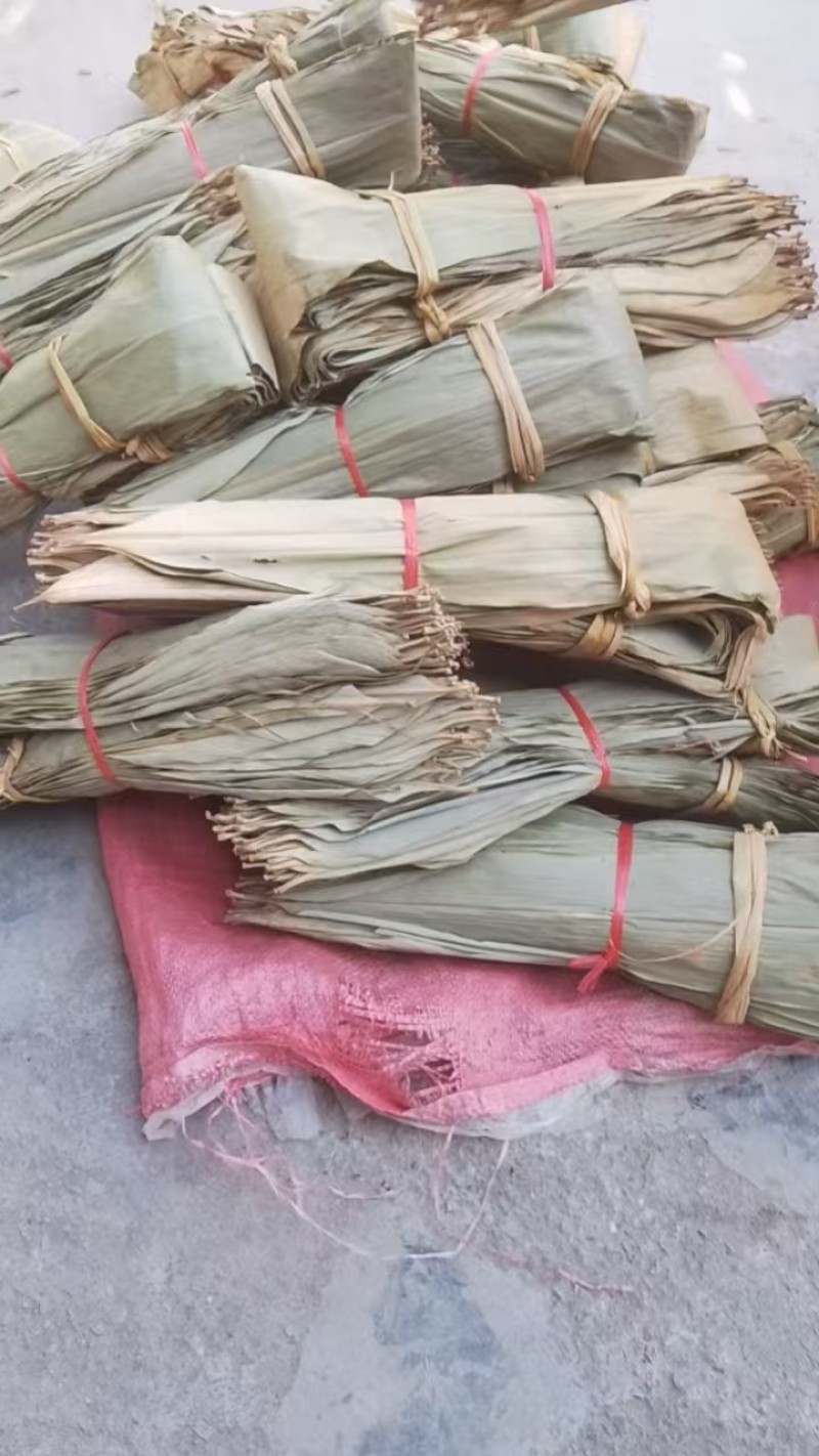 野生粽叶产地直发