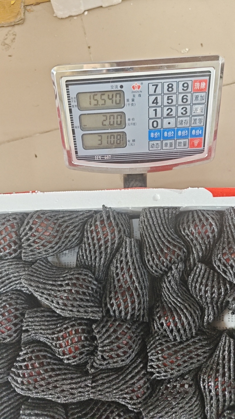 黑金刚莲雾每天采摘发货欢迎光临