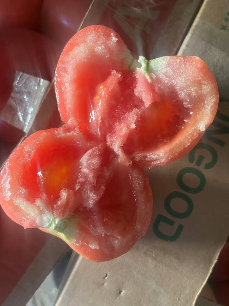 精品西红柿大量上市中，一手货源价格便宜欢迎咨询