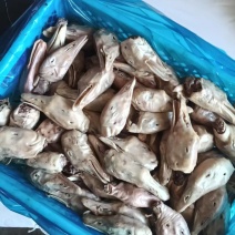 去舌鹅头9吨左右