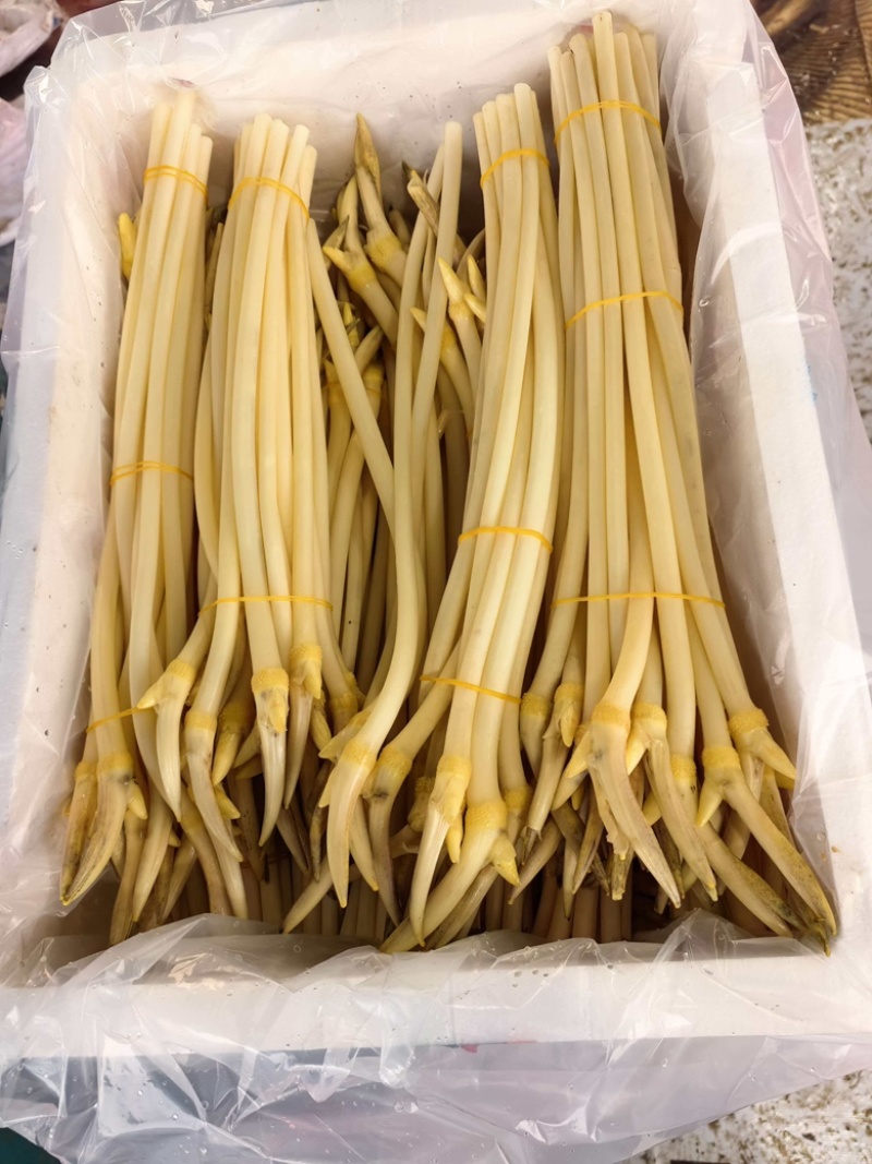 藕带，产地直发，量大从优，欢迎咨询订购品尝