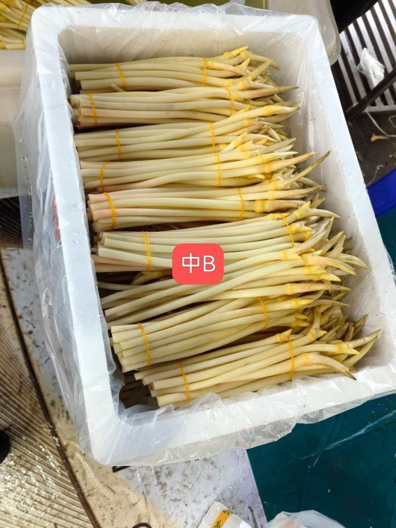 藕带，产地直发，量大从优，欢迎咨询订购品尝