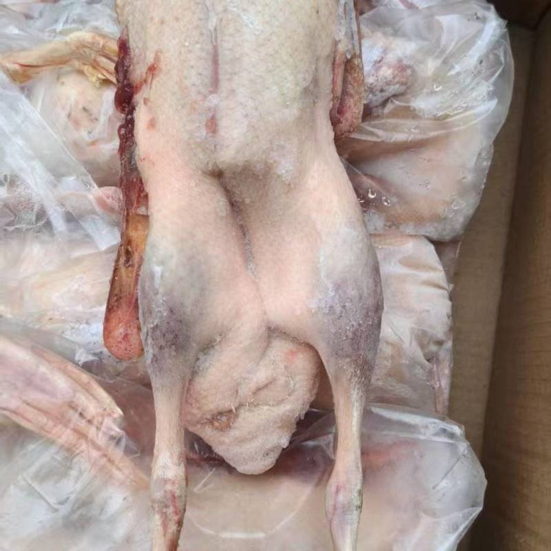 二级箱装单只套袋麻鸭15吨