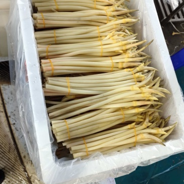 产发直发新鲜藕带，品质有保障，欢迎咨询订购